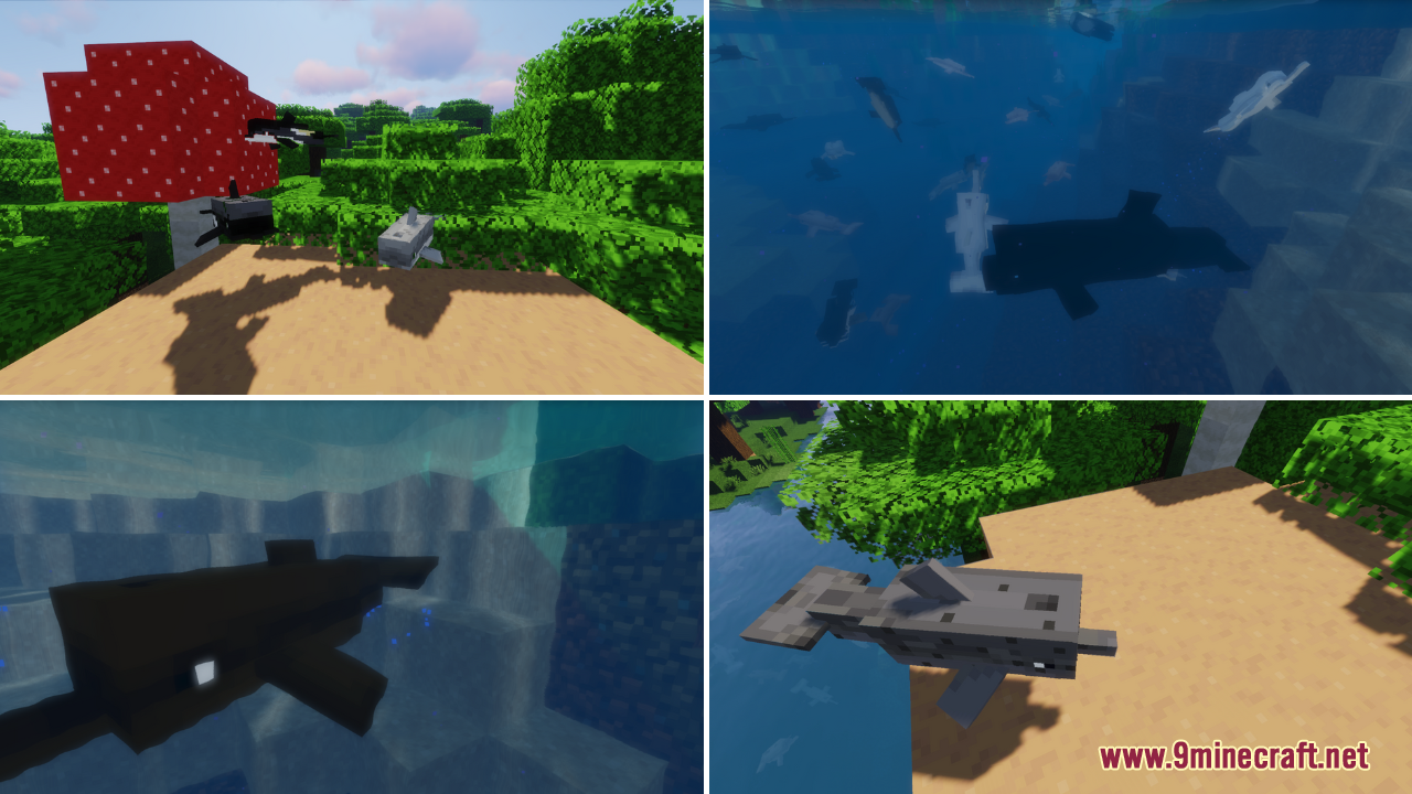 Too Many Dolphins Resource Pack (1.20.6, 1.20.1) - Texture Pack 12