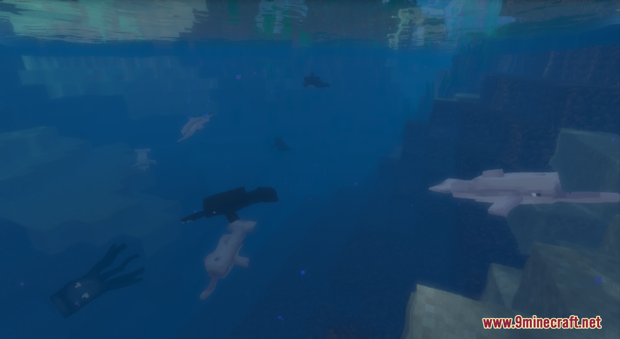 Too Many Dolphins Resource Pack (1.20.6, 1.20.1) - Texture Pack 3