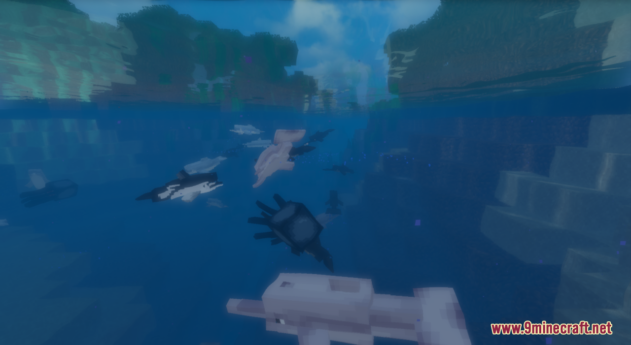 Too Many Dolphins Resource Pack (1.20.6, 1.20.1) - Texture Pack 6