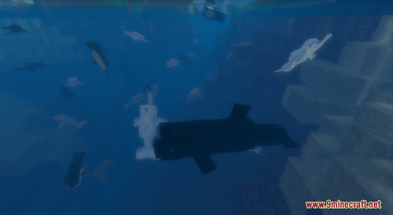 Too Many Dolphins Resource Pack (1.20.6, 1.20.1) - Texture Pack 9