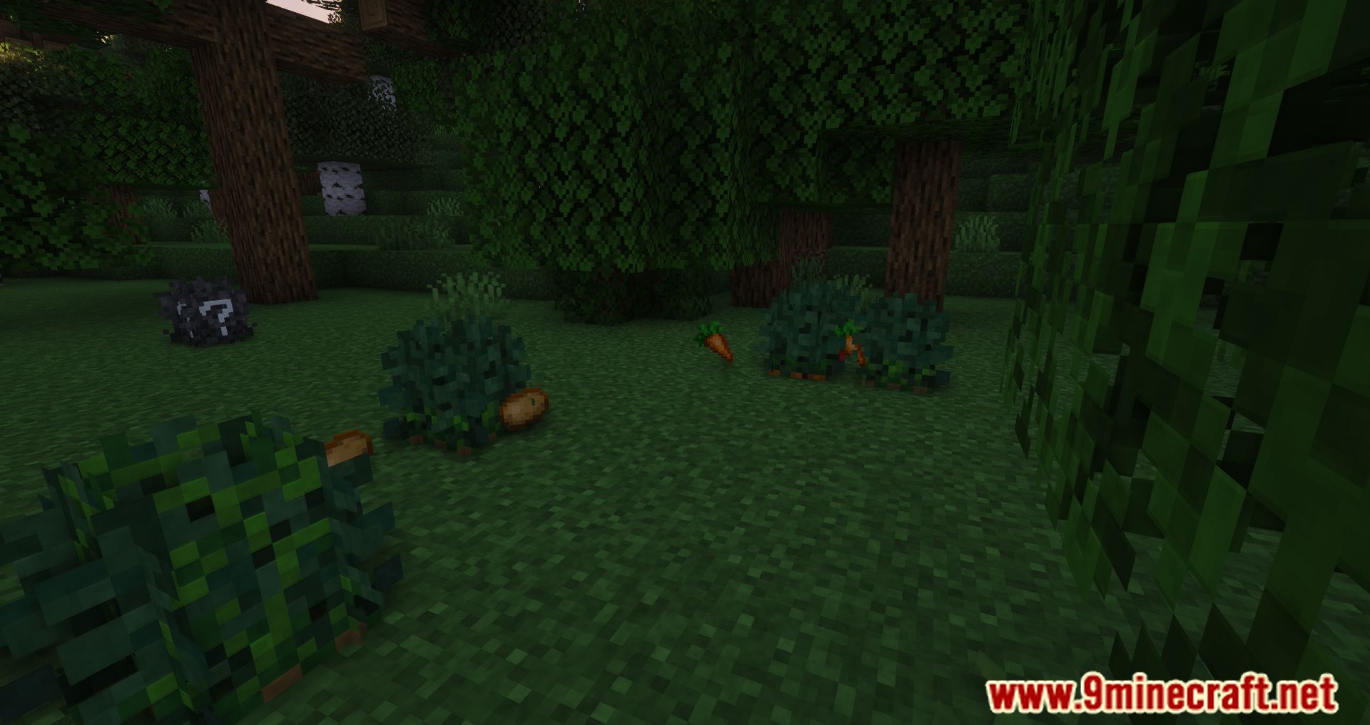 Wild Bushes Mod (1.19.4, 1.18.2) - Food During Harsh Hours 2