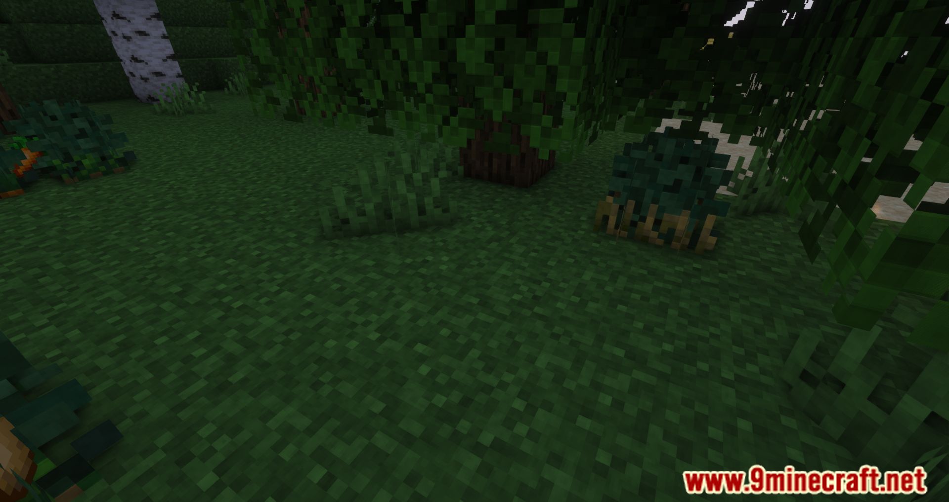 Wild Bushes Mod (1.19.4, 1.18.2) - Food During Harsh Hours 3