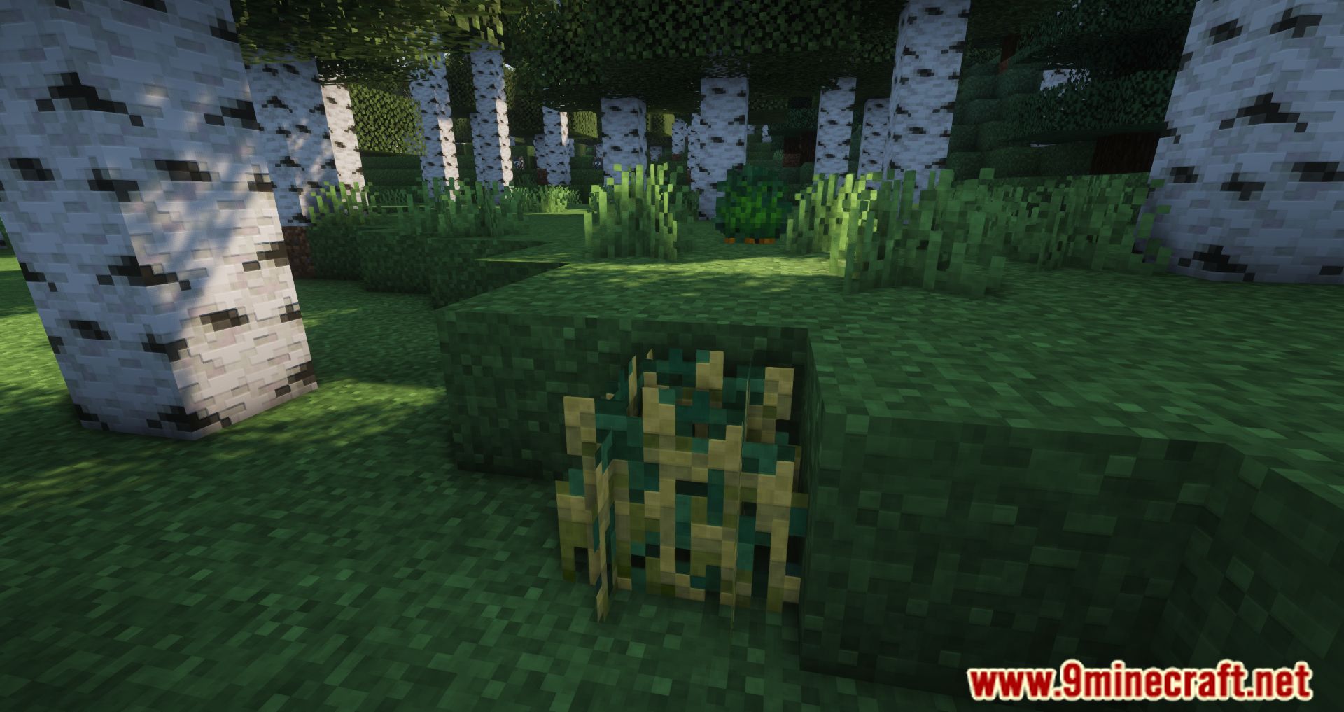 Wild Bushes Mod (1.19.4, 1.18.2) - Food During Harsh Hours 4