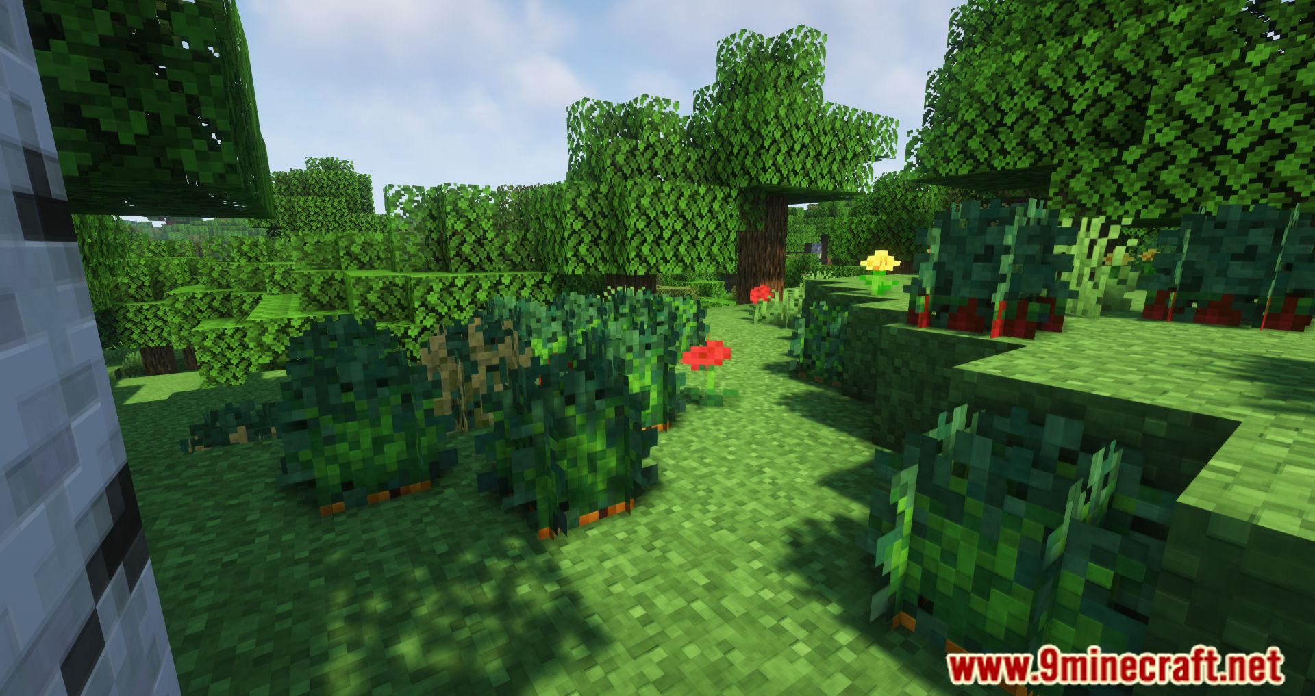 Wild Bushes Mod (1.19.4, 1.18.2) - Food During Harsh Hours 5