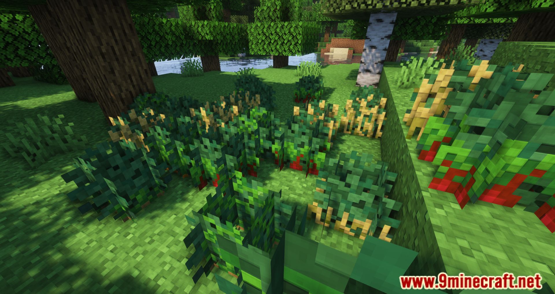 Wild Bushes Mod (1.19.4, 1.18.2) - Food During Harsh Hours 7