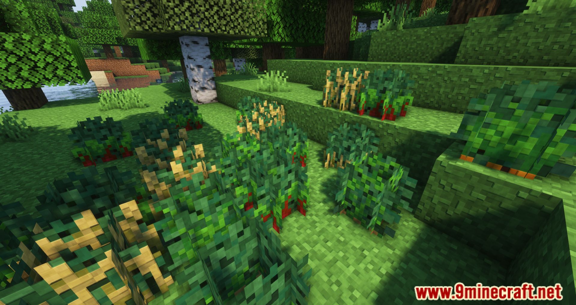 Wild Bushes Mod (1.19.4, 1.18.2) - Food During Harsh Hours 8