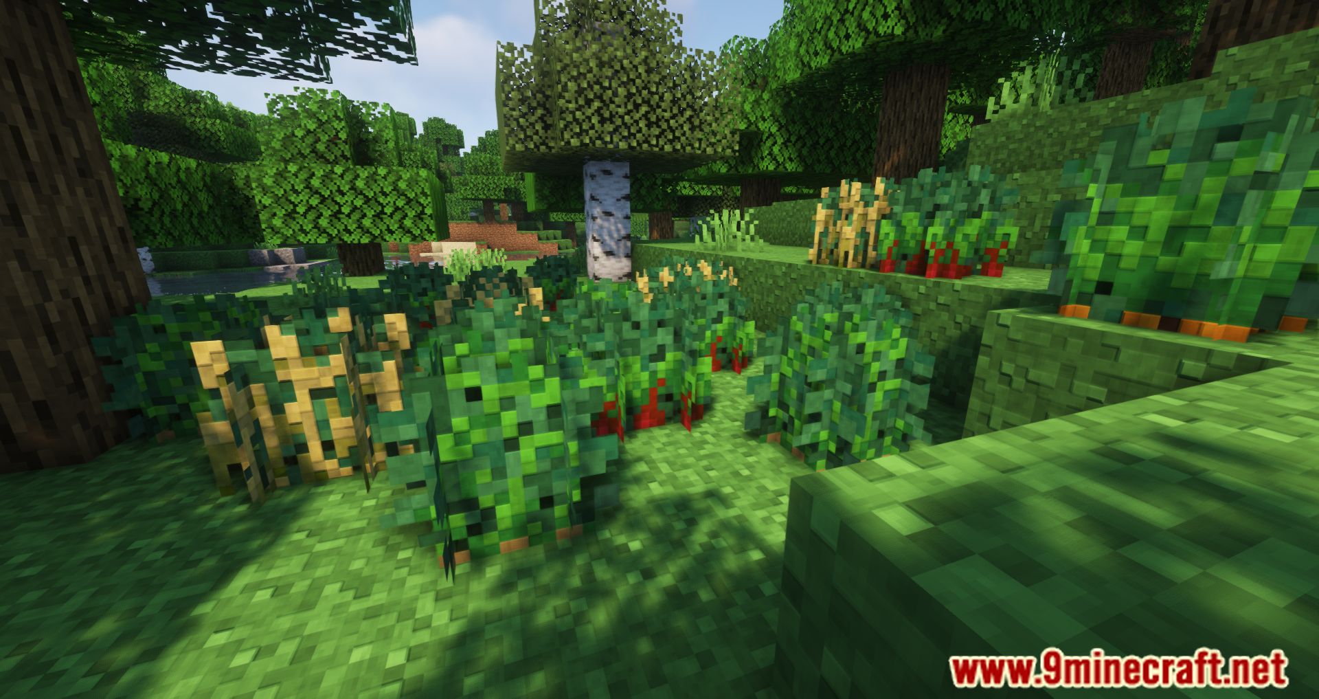 Wild Bushes Mod (1.19.4, 1.18.2) - Food During Harsh Hours 9