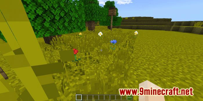 CSRS Shader (1.19, 1.18) - Cookie Shader Renderdragon Support 2