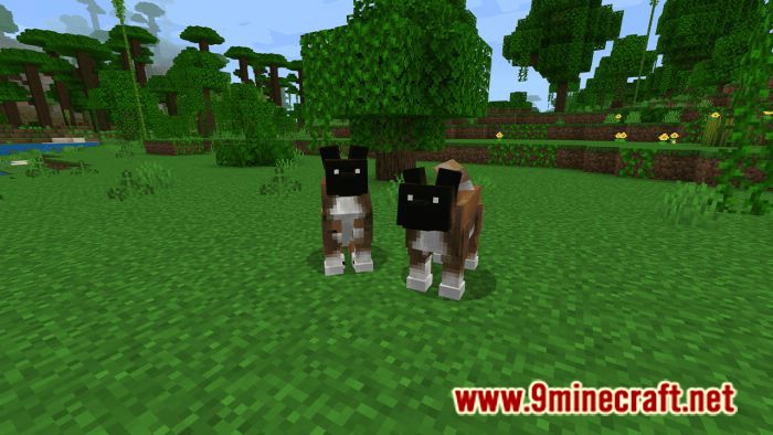 Dogs Plus Addon (1.19) for Minecraft PE/Bedrock 2