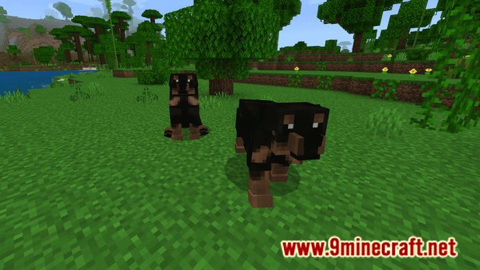 Dogs Plus Addon (1.19) for Minecraft PE/Bedrock 11