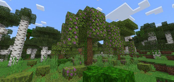 More Tree Variants Addon (1.20, 1.19) - MCPE/Bedrock Mod 11