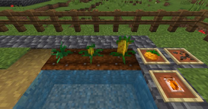 bum_Crops Addon (1.20, 1.19) - MCPE/Bedrock Harvest Mod 10