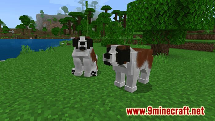 Dogs Plus Addon (1.19) for Minecraft PE/Bedrock 12