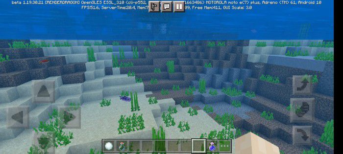 Ore Fishes Addon (1.19, 1.18) for Minecraft PE/Bedrock 12