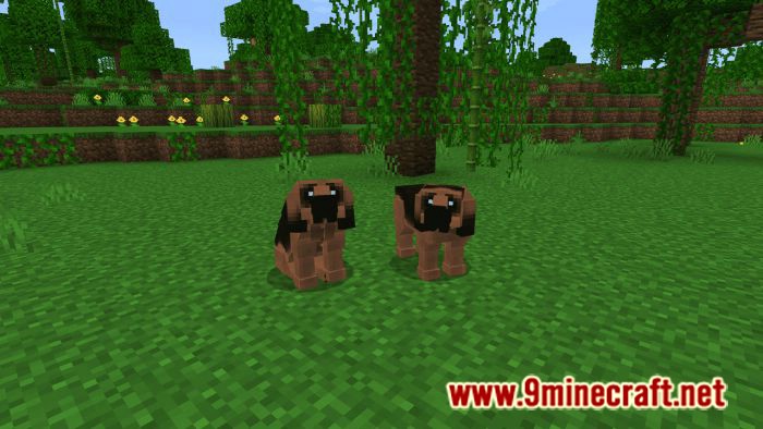 Dogs Plus Addon (1.19) for Minecraft PE/Bedrock 13