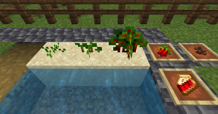 bum_Crops Addon (1.20, 1.19) - MCPE/Bedrock Harvest Mod 12