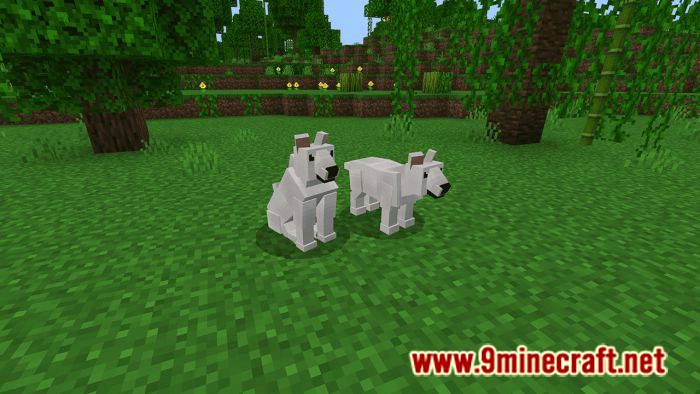 Dogs Plus Addon (1.19) for Minecraft PE/Bedrock 14