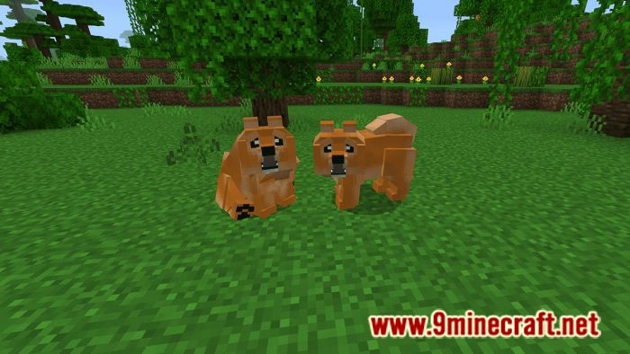 Dogs Plus Addon (1.19) for Minecraft PE/Bedrock 15