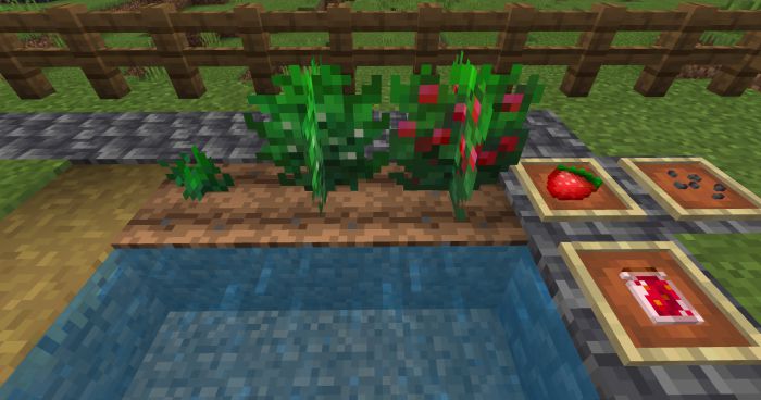 bum_Crops Addon (1.20, 1.19) - MCPE/Bedrock Harvest Mod 14