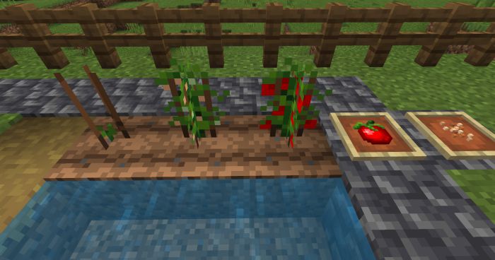 bum_Crops Addon (1.20, 1.19) - MCPE/Bedrock Harvest Mod 15