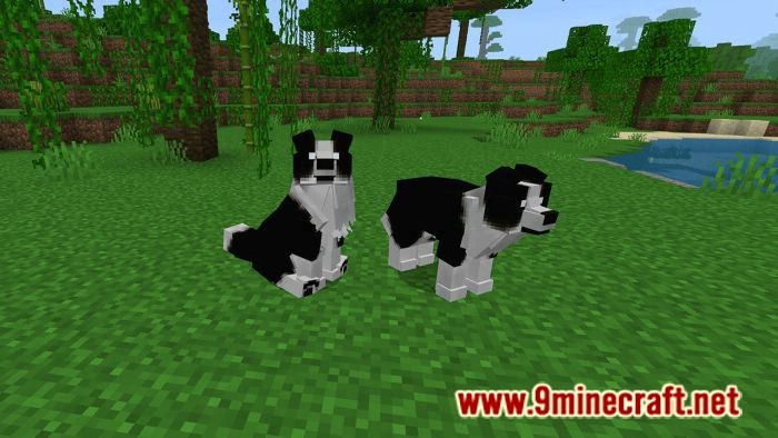 Dogs Plus Addon (1.19) for Minecraft PE/Bedrock 17