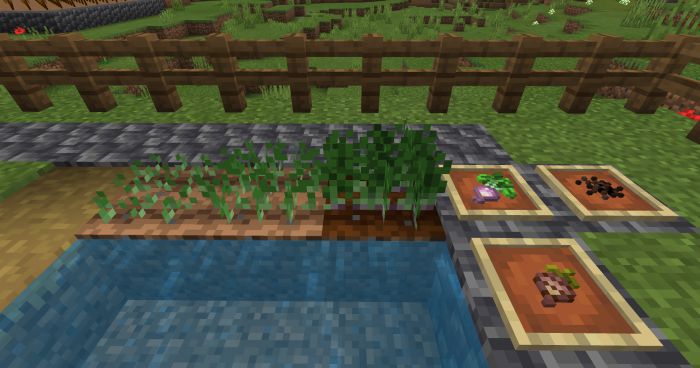 bum_Crops Addon (1.20, 1.19) - MCPE/Bedrock Harvest Mod 16