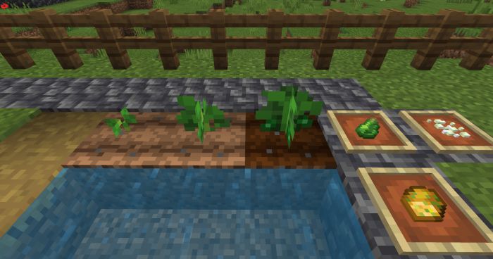 bum_Crops Addon (1.20, 1.19) - MCPE/Bedrock Harvest Mod 17