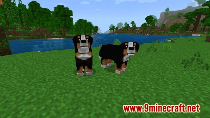 Dogs Plus Addon (1.19) for Minecraft PE/Bedrock 3