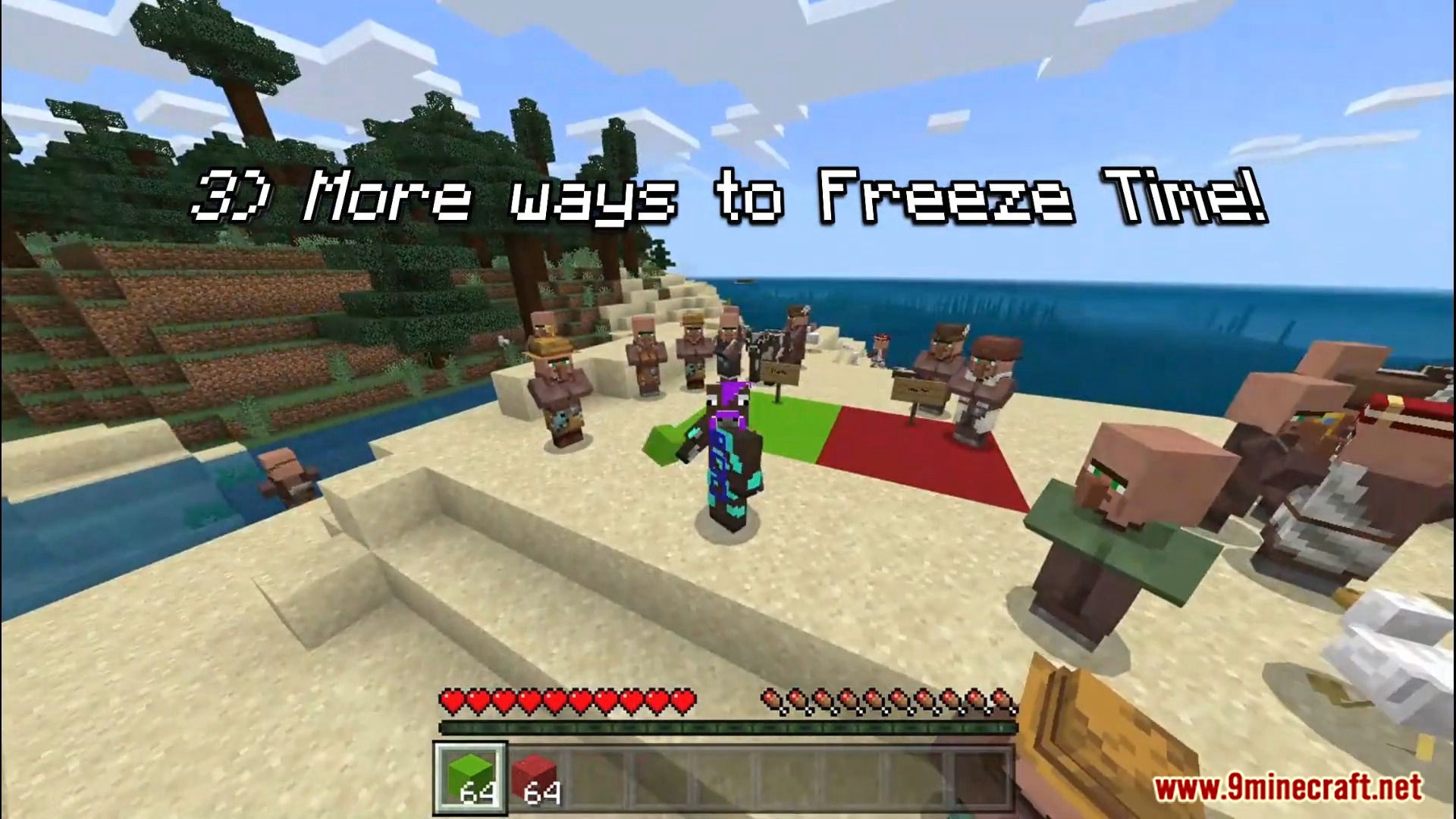 Pause & Freeze Time Addon (1.19) - MCPE/Bedrock Mod 3