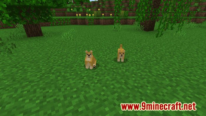 Dogs Plus Addon (1.19) for Minecraft PE/Bedrock 21