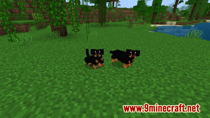 Dogs Plus Addon (1.19) for Minecraft PE/Bedrock 22