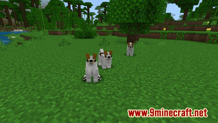 Dogs Plus Addon (1.19) for Minecraft PE/Bedrock 23