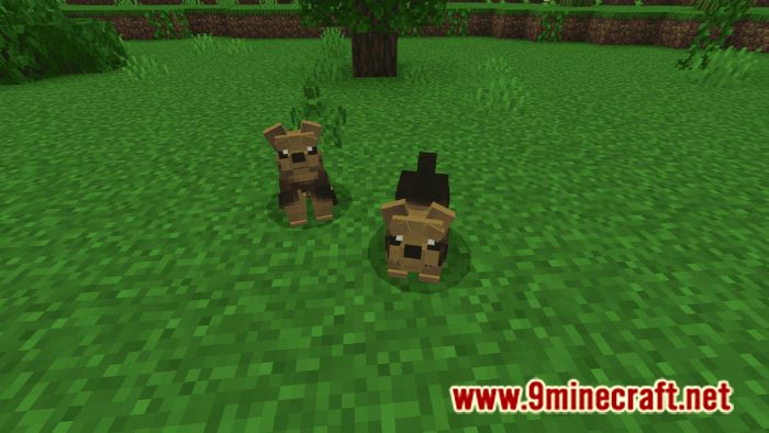 Dogs Plus Addon (1.19) for Minecraft PE/Bedrock 24