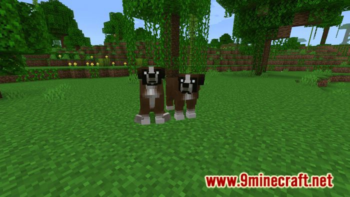 Dogs Plus Addon (1.19) for Minecraft PE/Bedrock 4