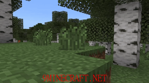 Just Animated Grass Pack (1.19, 1.18) - MCPE/Bedrock Texture Pack 4