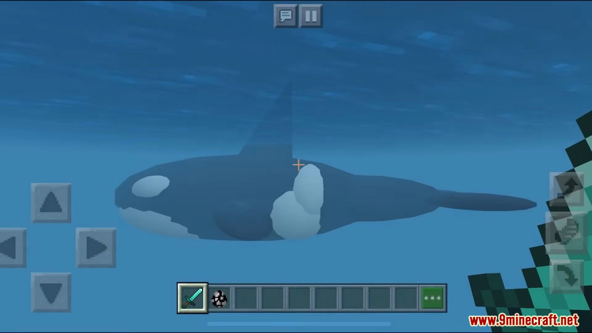 Orca / Killer Whale Addon (1.19, 1.18) - MCPE/Bedrock Mod 4