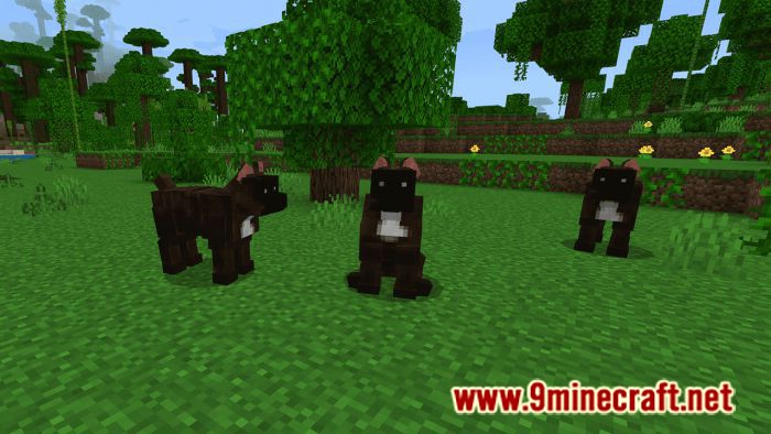 Dogs Plus Addon (1.19) for Minecraft PE/Bedrock 5