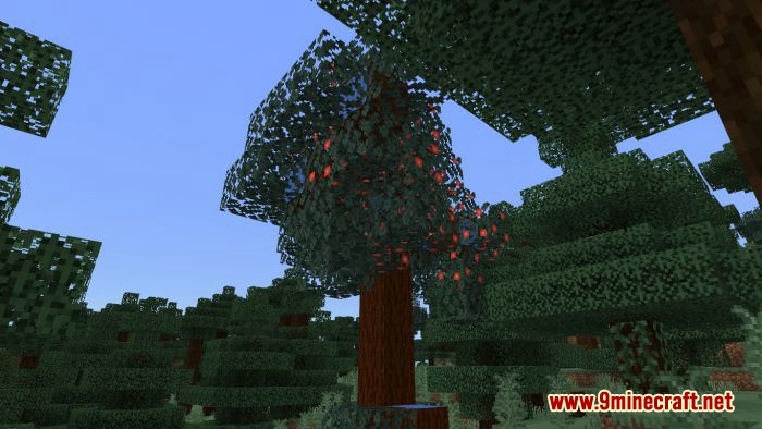 Forested Trees Addon (1.20, 1.19) - Minecraft PE/Bedrock Mod 5