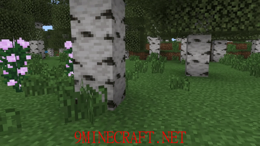 Just Animated Grass Pack (1.19, 1.18) - MCPE/Bedrock Texture Pack 5
