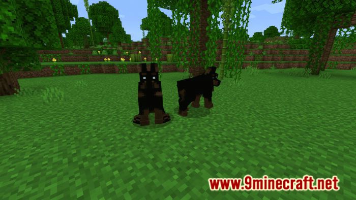 Dogs Plus Addon (1.19) for Minecraft PE/Bedrock 6