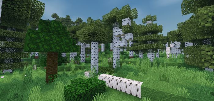 Forsaken Odyssey Addon (1.20, 1.19) - MCPE/Bedrock Fantasy Modpack 6