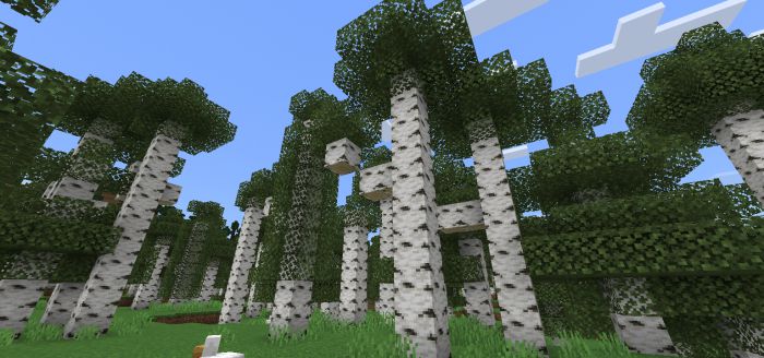 More Tree Variants Addon (1.20, 1.19) - MCPE/Bedrock Mod 6