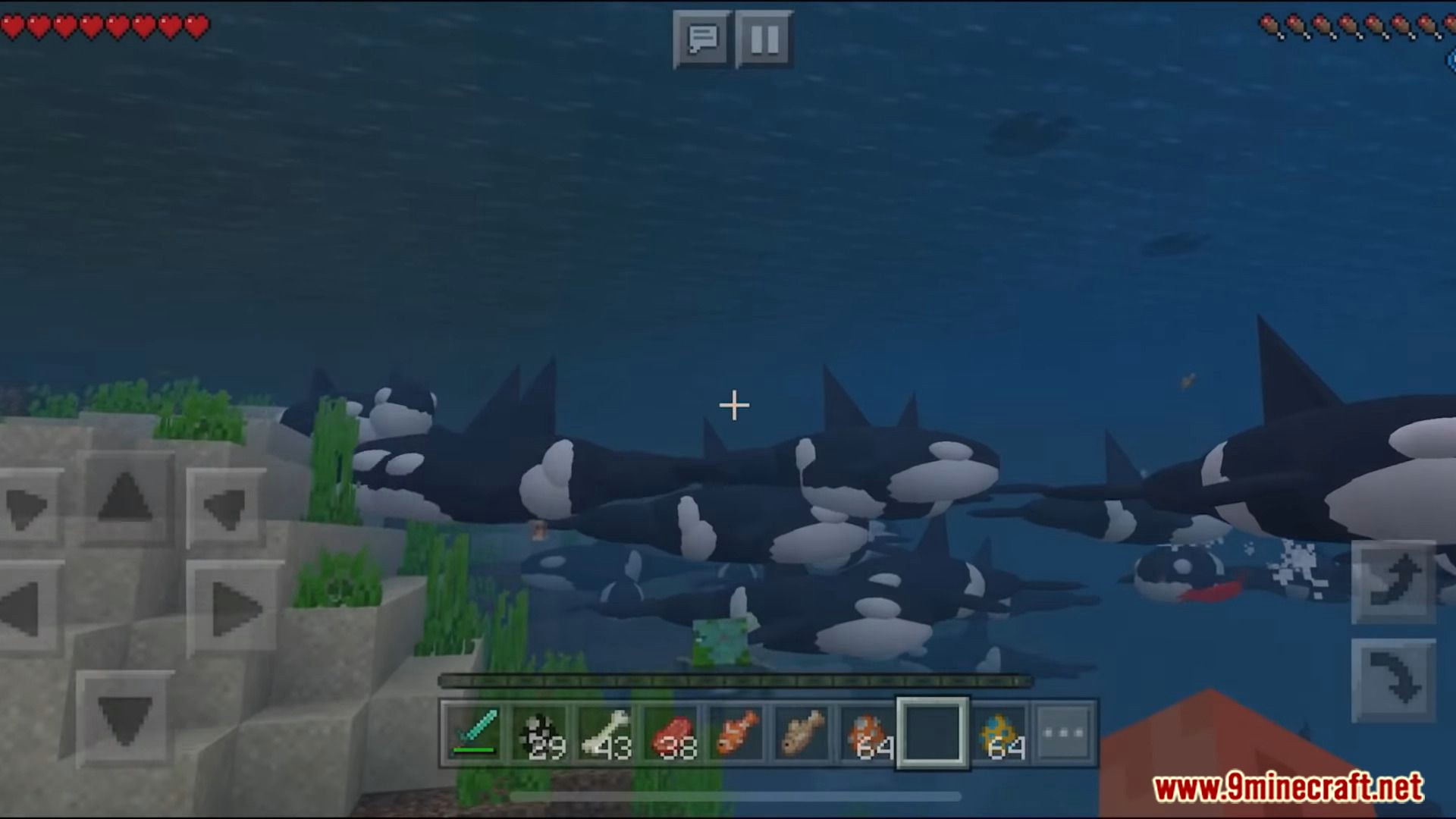 Orca / Killer Whale Addon (1.19, 1.18) - MCPE/Bedrock Mod 6