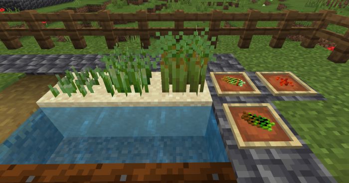 bum_Crops Addon (1.20, 1.19) - MCPE/Bedrock Harvest Mod 5