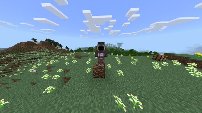 The Poetry Of Winter Addon (1.19) - World Border Mod MCPE/Bedrock 56