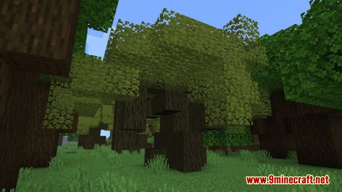 Forested Trees Addon (1.20, 1.19) - Minecraft PE/Bedrock Mod 7