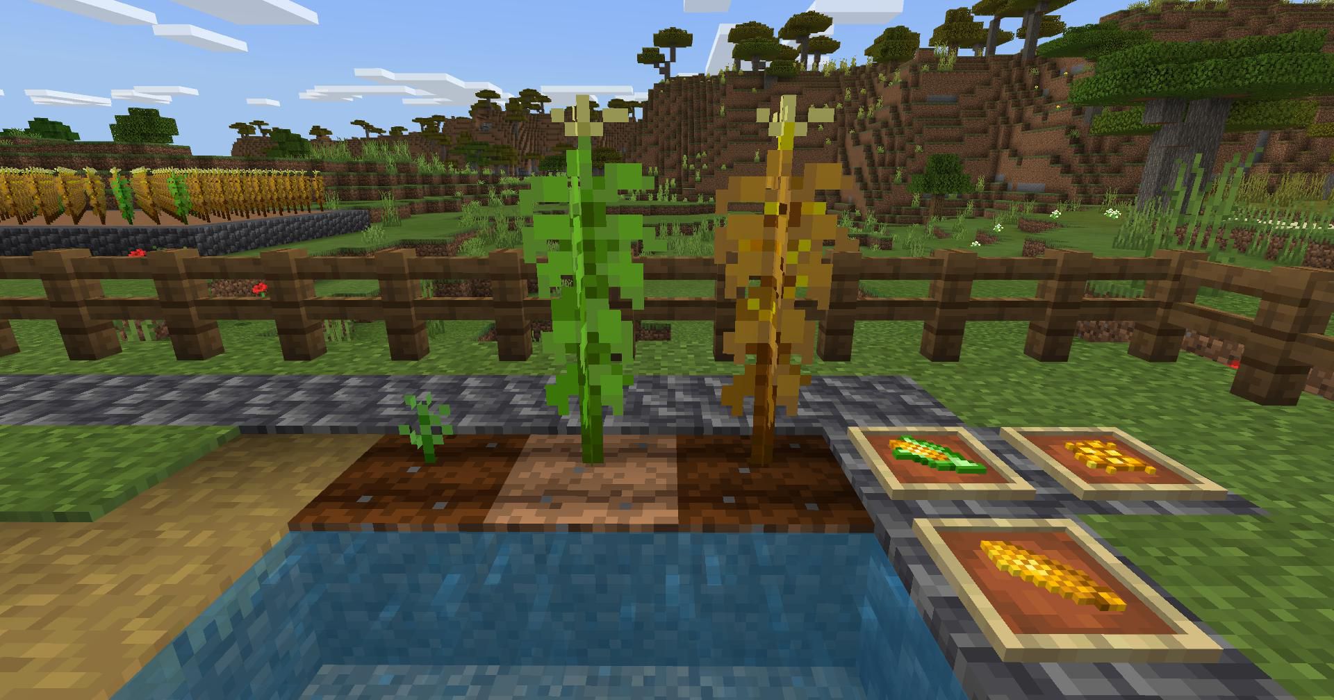 bum_Crops Addon (1.20, 1.19) - MCPE/Bedrock Harvest Mod 6