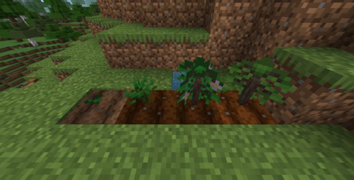 Rustic Nature Addon (1.19) - MCPE/Bedrock Mod 62