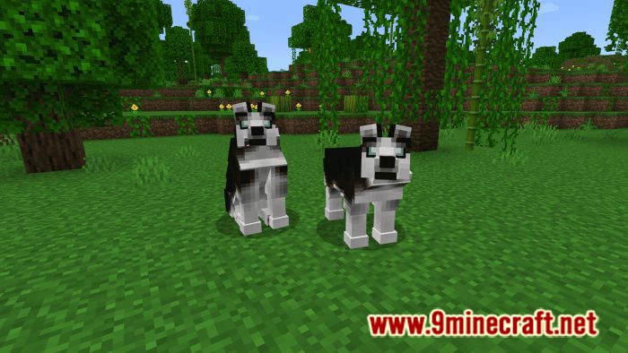 Dogs Plus Addon (1.19) for Minecraft PE/Bedrock 8