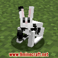 NBT Tags for Rabbit - Wiki Guide 5